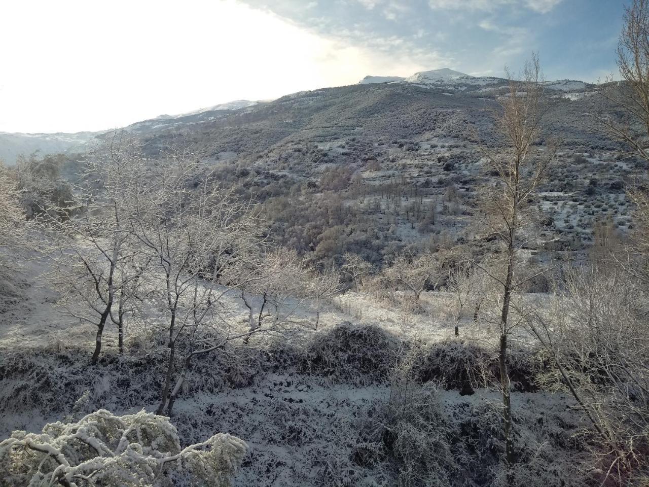 Casa Rural Arroyo De La Greda Гехар-Сиера Екстериор снимка